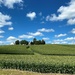 Iowa Farm by lynnz