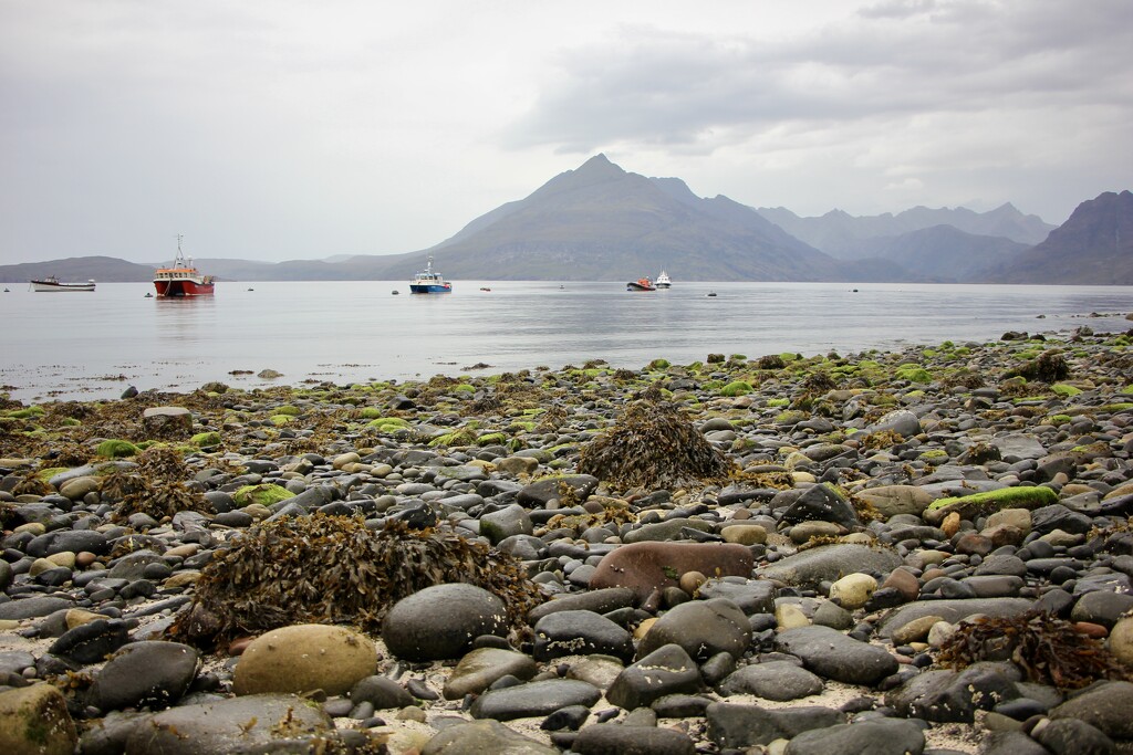 The Cuillin Mountain Range from Elgol by jamibann