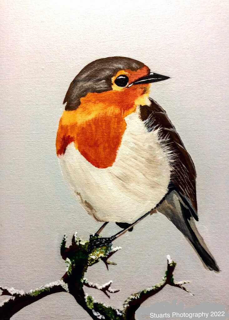 A little Robin painting  by stuart46