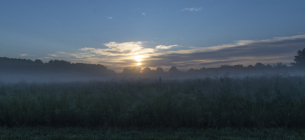 Foggy Sunrise by timerskine