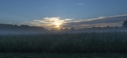 2nd Sep 2022 - Foggy Sunrise