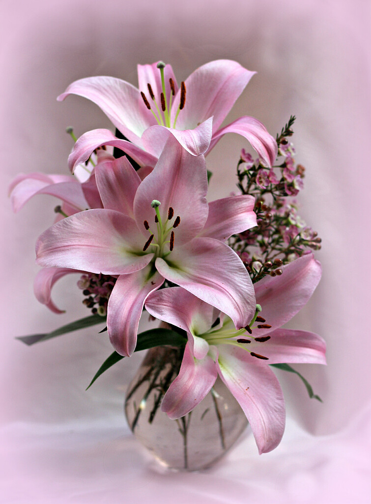 Lilies.  by wendyfrost