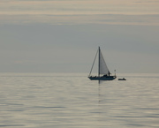 3rd Sep 2022 - Sailing….. 