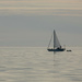 Sailing…..  by billdavidson