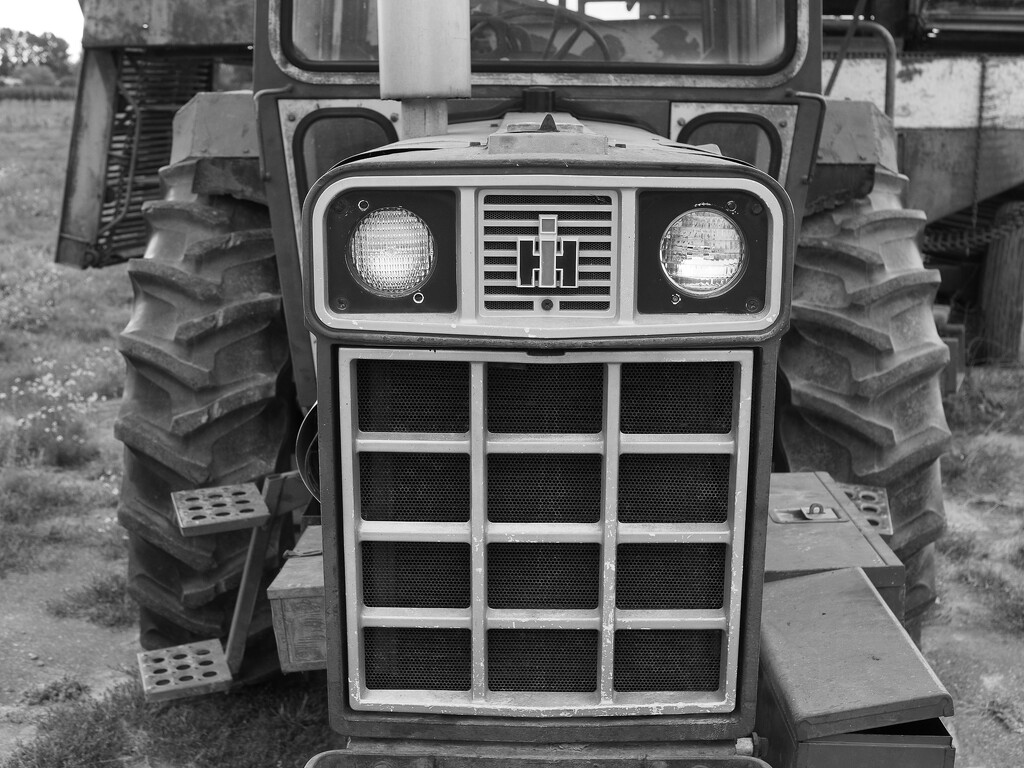 Grill, International Harvester by cdcook48