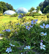 4th Sep 2022 - University Botanical Gardens 