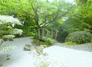 4th Sep 2022 - The  Japanese Garden.