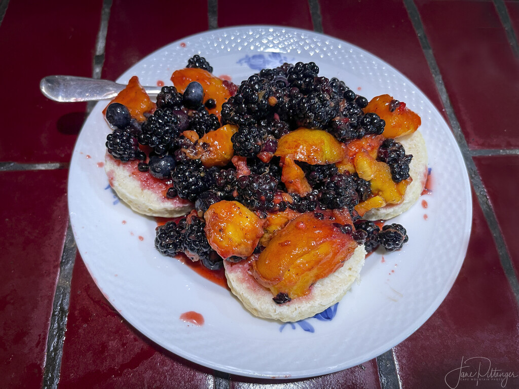 Peach and Blackberry Shortcake  by jgpittenger