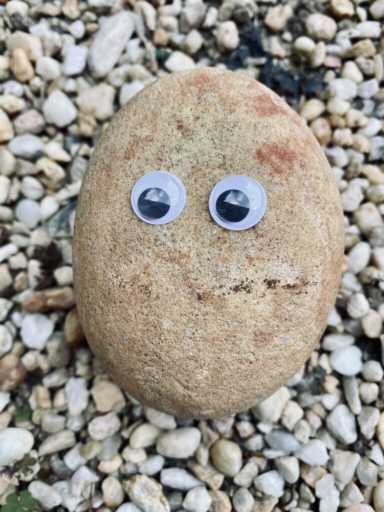 Happy National Pet Rock Day by lesip