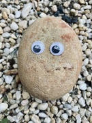 4th Sep 2022 - Happy National Pet Rock Day