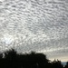 Mottled Sky by visionworker