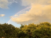17th Aug 2022 - Just a little Rainbow