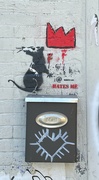 24th Aug 2022 - Banksy Rat