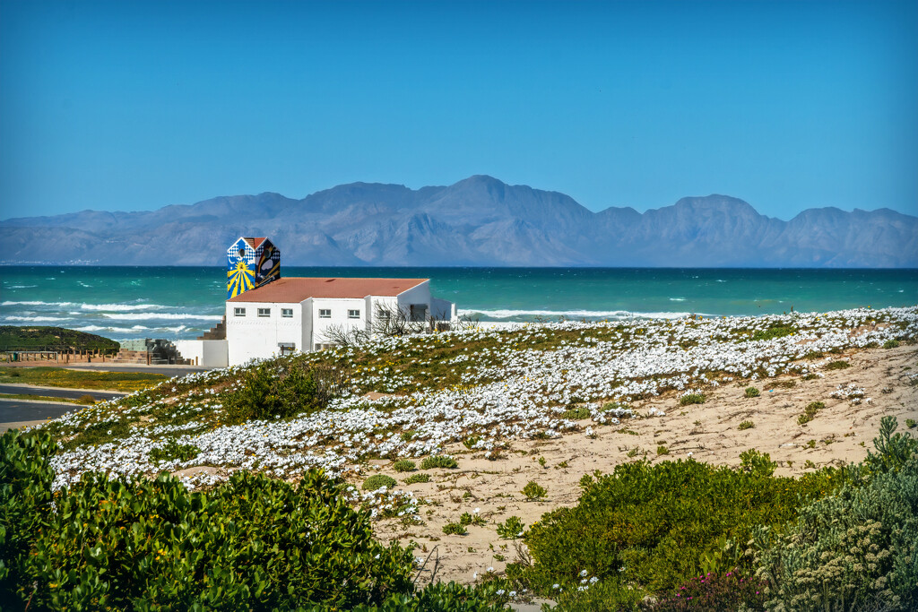 On the way to Muizenberg by ludwigsdiana