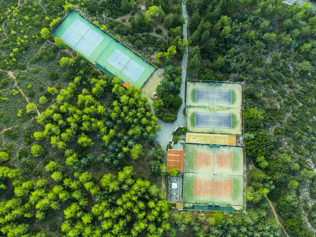 Green Courts by gerry13