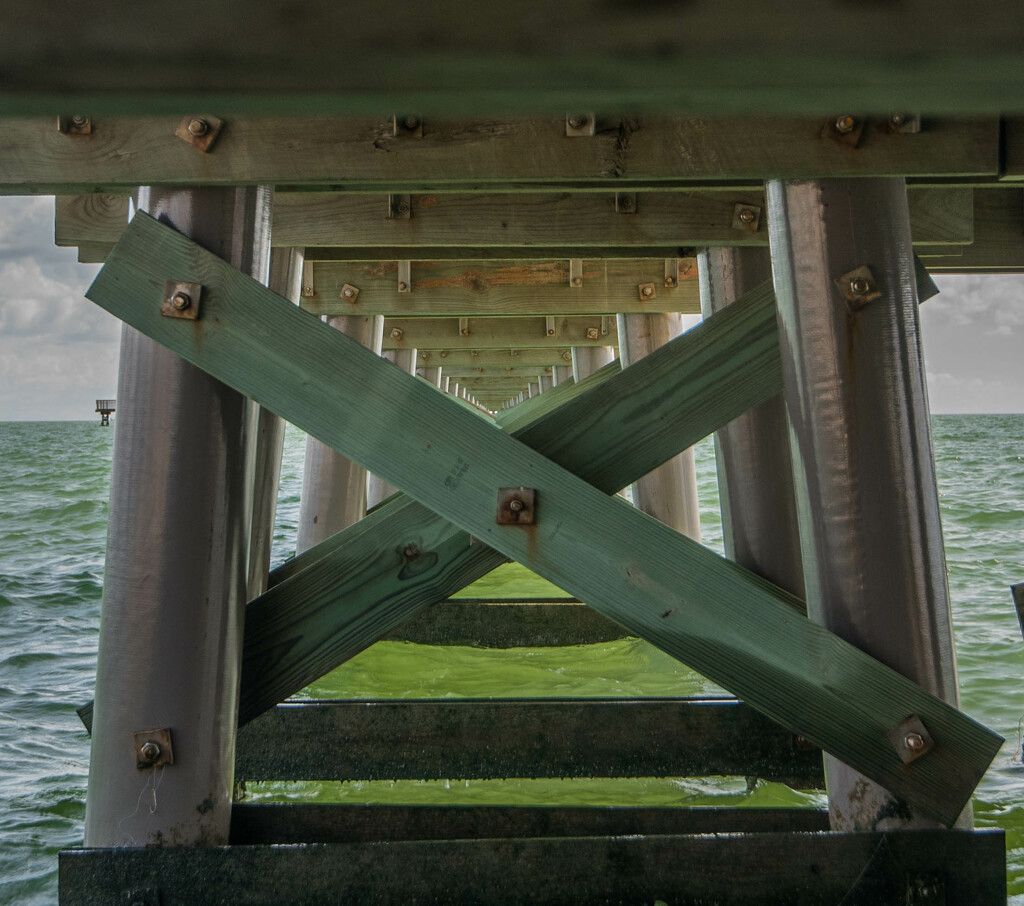 Under the Pier  by dkellogg