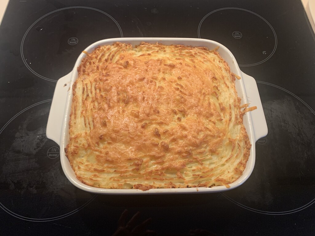 Cottage pie for dinner! by snowy