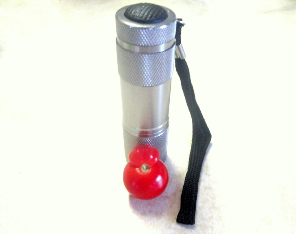 Flashlight and tomato... by bruni