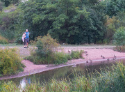 6th Sep 2022 - People and Ducks