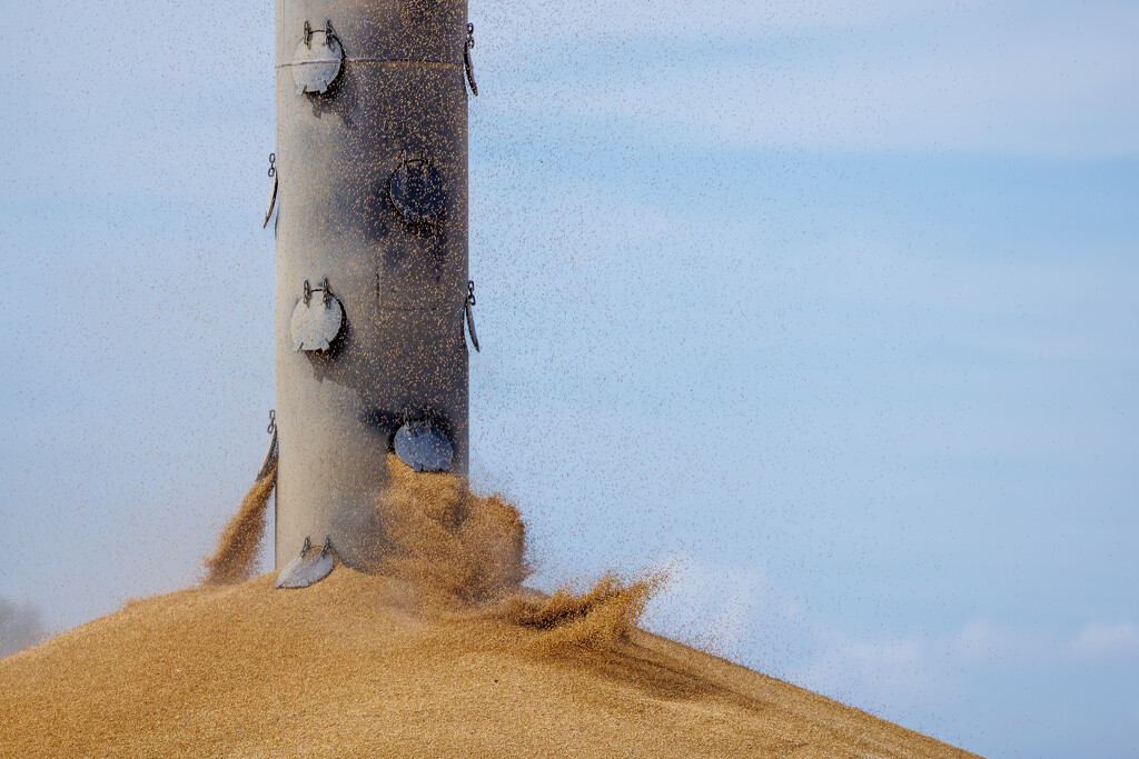 Grains falling -- up close! by jyokota