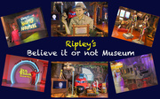 7th Sep 2022 - Ripley's Believe It or not Museum