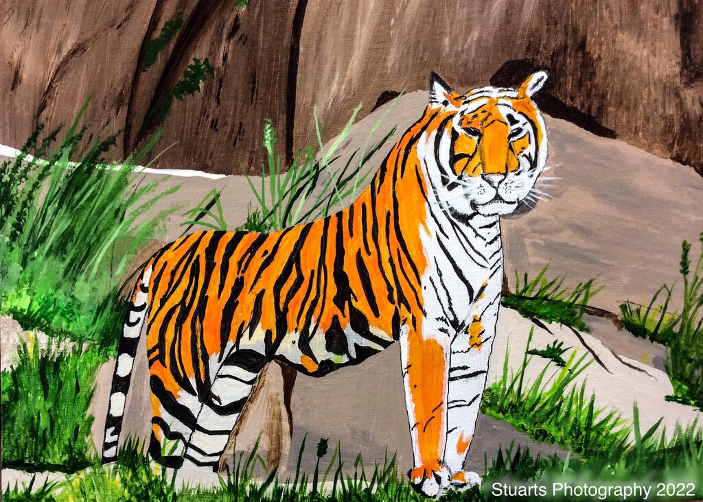 Tiger painting  by stuart46