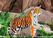 7th Sep 2022 - Tiger painting 
