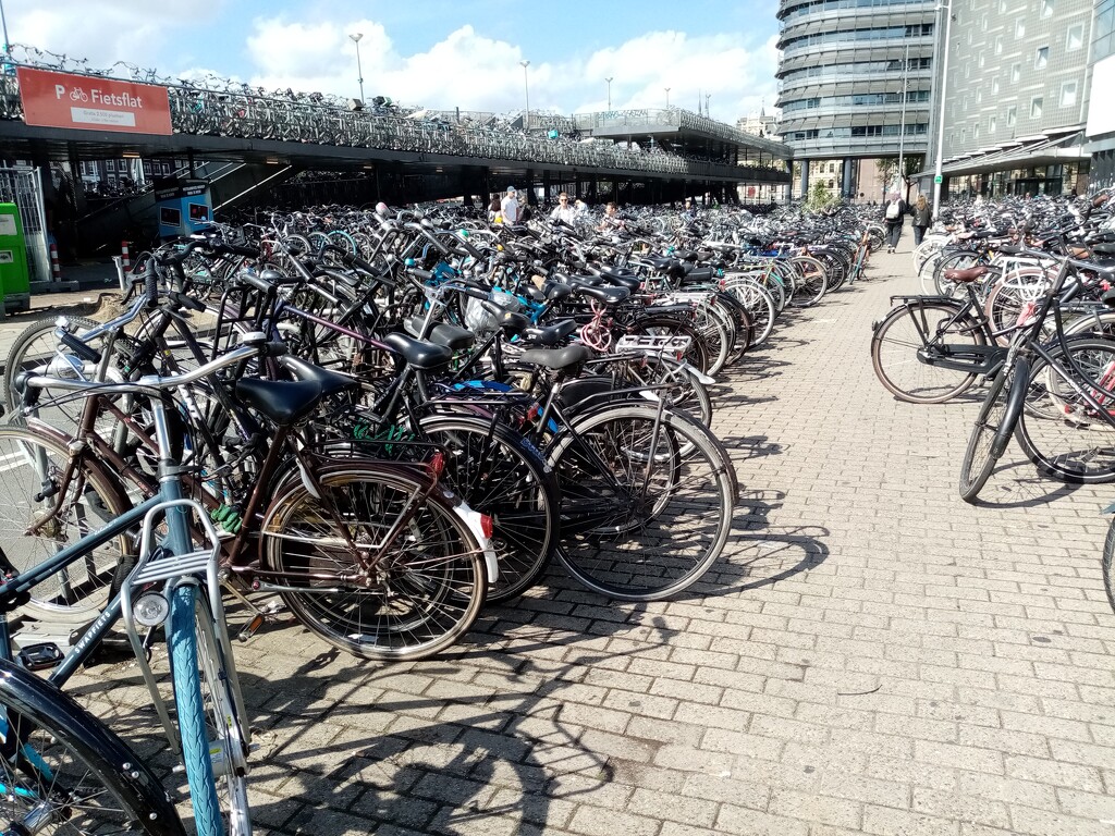 Amsterdam Bikes  by g3xbm