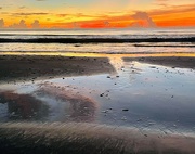 7th Sep 2022 - Tide Pool