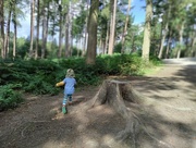 20th Aug 2022 - Delamere Forest