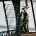 Female Downy Woodpecker by ljmanning