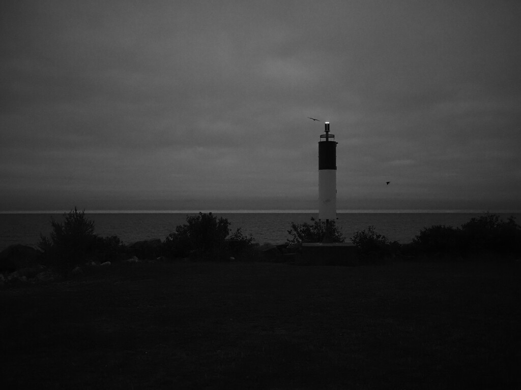 the lighthouse and two birds (sooc) by northy