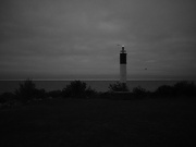 7th Sep 2022 - the lighthouse and two birds (sooc)