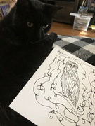 7th Sep 2022 - Cat and Owl drawing 
