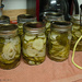 Garlic Dill Pickles by byrdlip