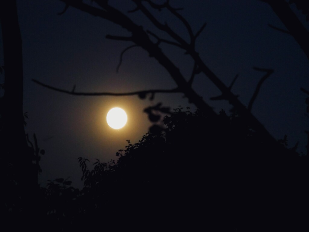 Moonrise by ljmanning