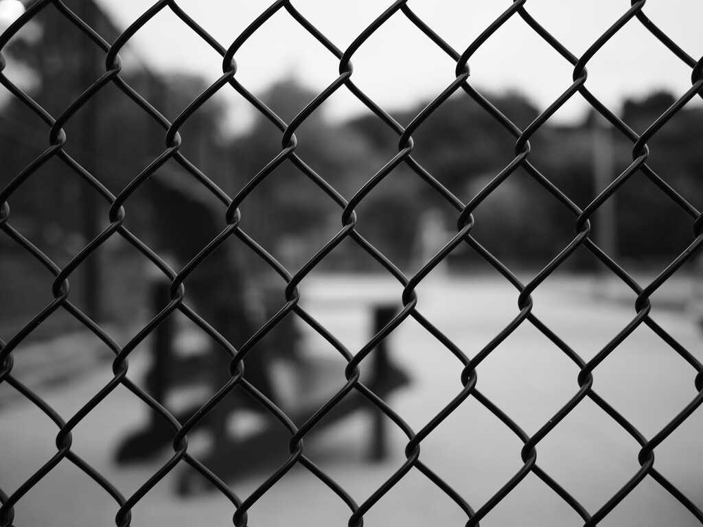 fenced off (sooc) by northy