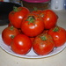 Garden Box Tomatos  by stillmoments33