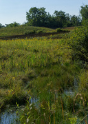 9th Sep 2022 - creek landscape