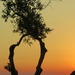 The sunset sky of our last night in Greece by anitaw