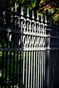 8th Sep 2022 - A fence from the past