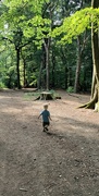 14th Aug 2022 - In the woods