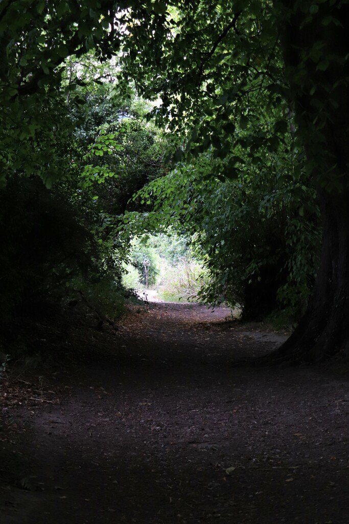 Through the Hobbit Hole? Shoreham, Kent by 365jgh
