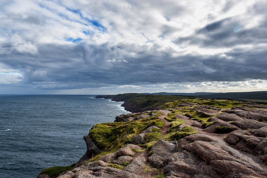 Cape Spear  by novab