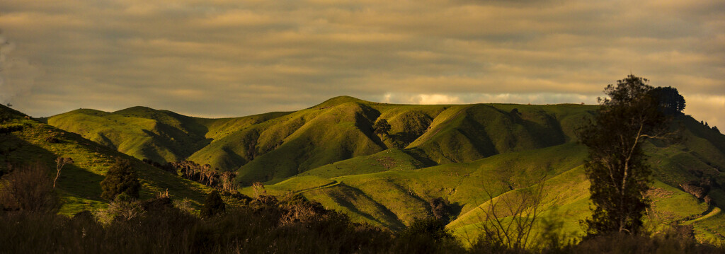 Waikare Hills at Sunset by nickspicsnz