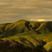 Waikare Hills at Sunset