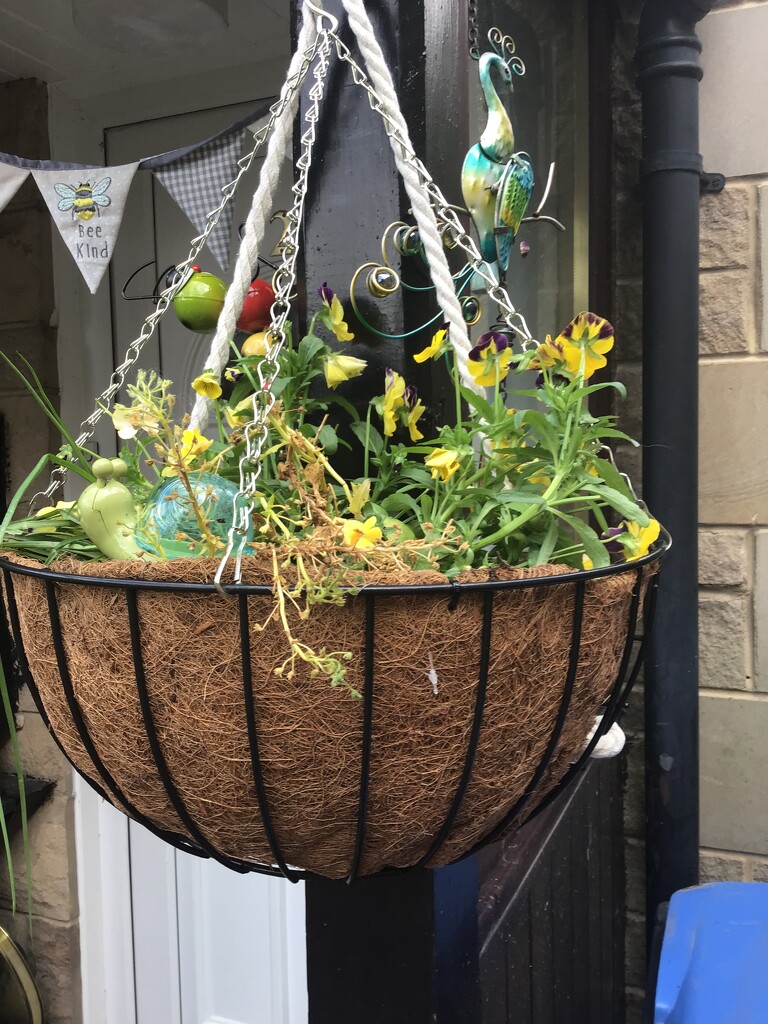 New hanging basket. by jab