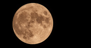 10th Sep 2022 - Last Night's Almost Full Moon!