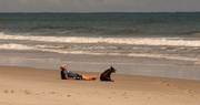 10th Sep 2022 - Man and His Dog, Relaxing on the Beach!
