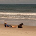 Man and His Dog, Relaxing on the Beach! by rickster549